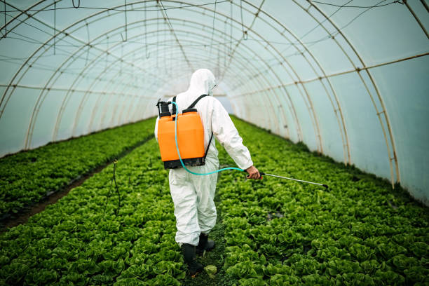Best Affordable Pest Control Services  in Wolf Point, MT