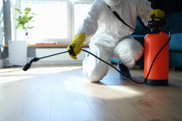 Best Best Pest Control Companies  in Wolf Point, MT