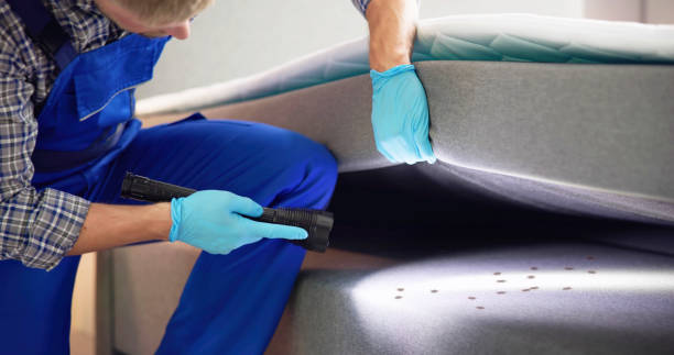 Pest Prevention Services in Wolf Point, MT