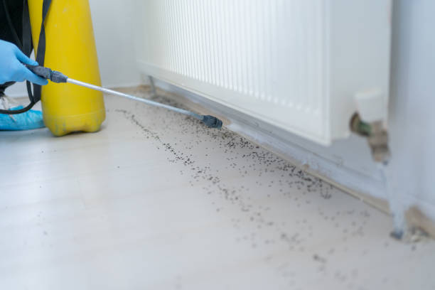 Best Cockroach Control Services  in Wolf Point, MT